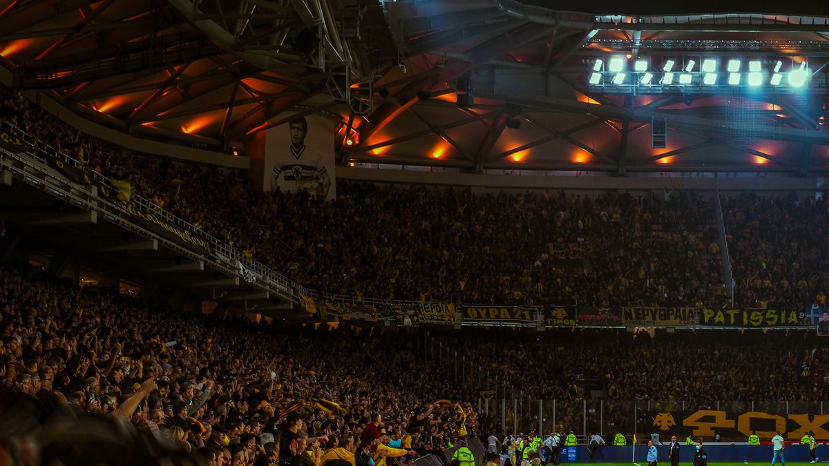 Players and fans celebrate after a decisive group-stage match